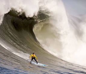 开云下载-凯恩统治全场，F1新赛季揭幕战之夜的王者隐喻