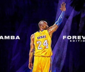 开云官网2026-深圳队对阵尼克斯，班凯罗冠军级表现，一场跨越篮球次元的对话