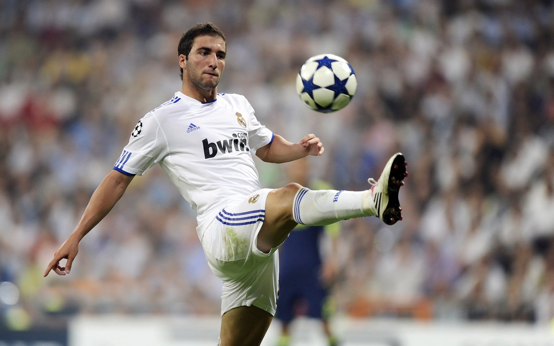 赛道与球场，速度与意志的双重奏